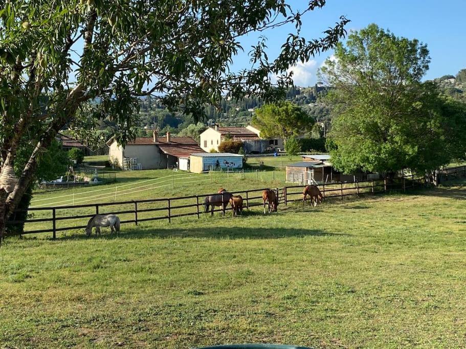 La Bastide De Jean Maison De Charme Dans Un Domaine Equestre Prive กราส ภายนอก รูปภาพ